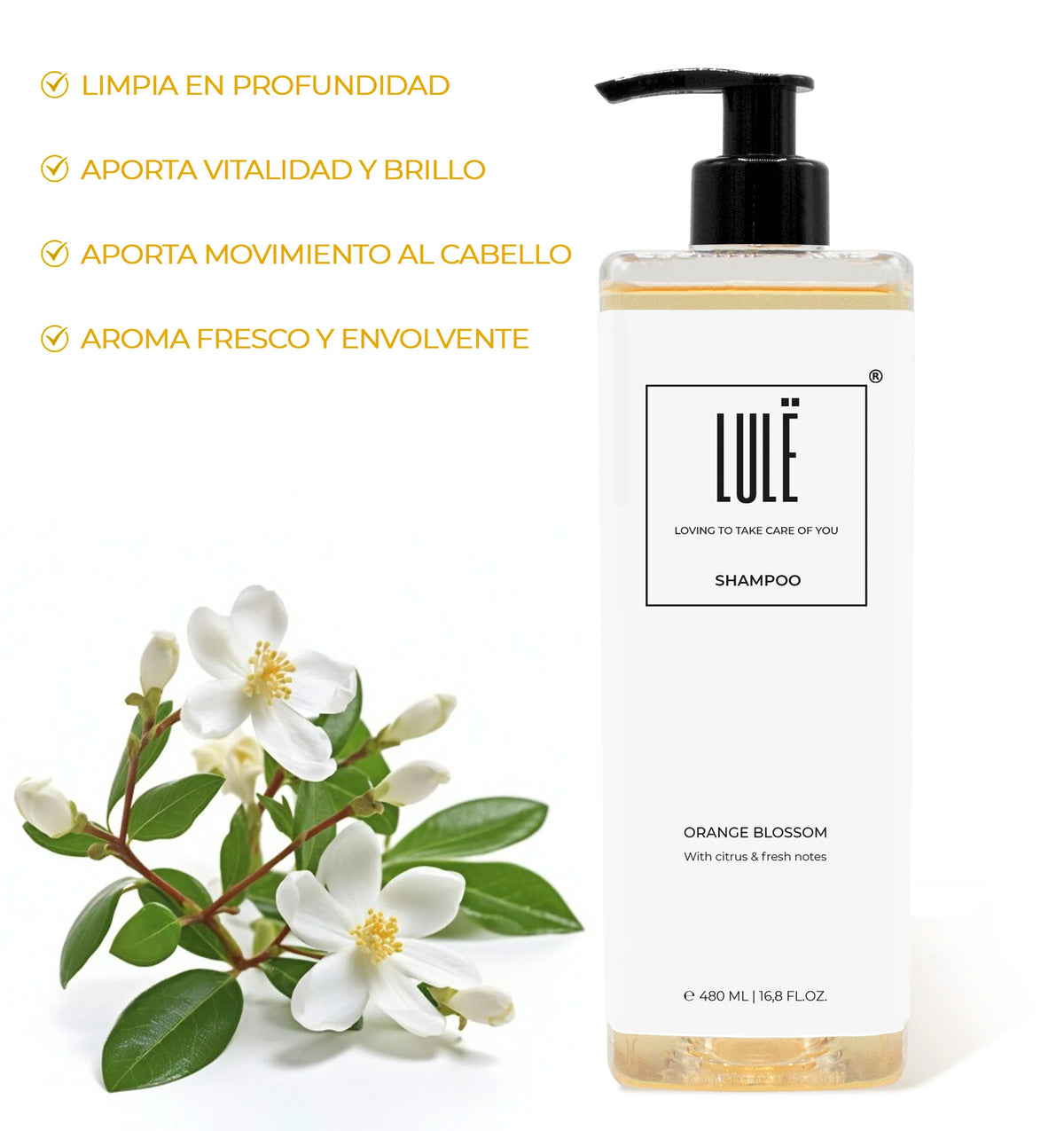 Champú hidratante